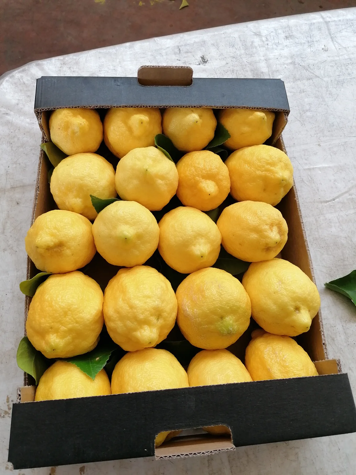 Cassetta di limoni