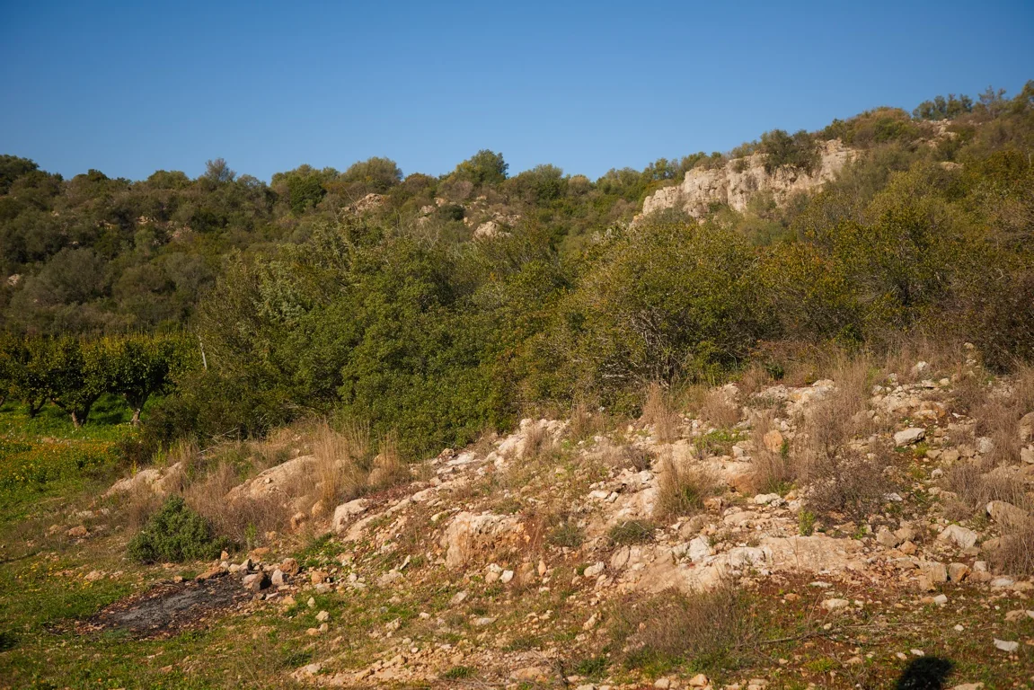 Vegetazione e paesaggio roccioso